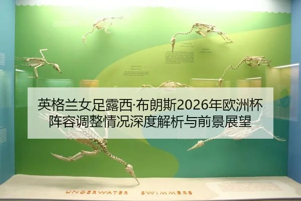 英格兰女足露西·布朗斯2026年欧洲杯阵容调整情况深度解析与前景展望